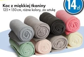 Tedi Koc tedi oferta