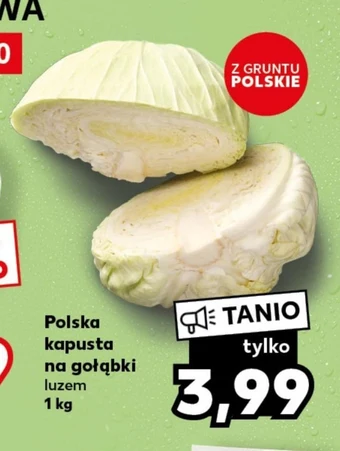 Kaufland Kapusta oferta