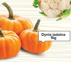Spiżarnia Smakosza Dynia oferta
