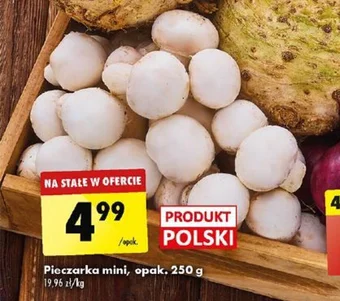Biedronka Pieczarka mini 250 g oferta