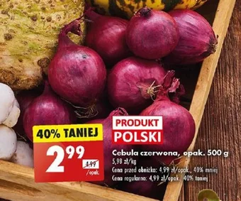 Biedronka Cebula czerwona 500 g oferta