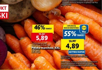 Lidl Polska marchew 4 kg oferta