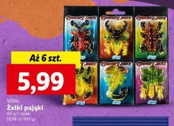 Lidl VIDAL Żelki pająki 66g oferta