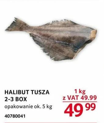 Selgros HALIBUT TUSZA 2-3 BOX 1 KG oferta