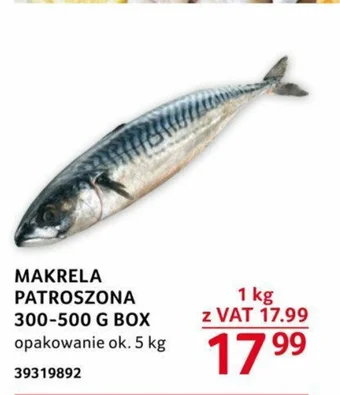 Selgros MAKRELA PATROSZONA 300-500 G BOX oferta