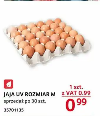Selgros JAJA UV ROZMIAR M 1 szt. oferta