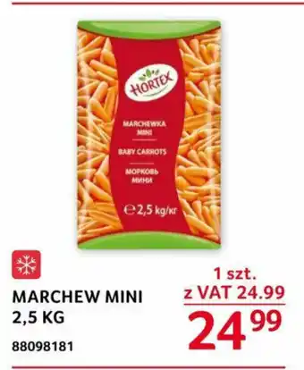 Selgros MARCHEW MINI 2,5 KG oferta