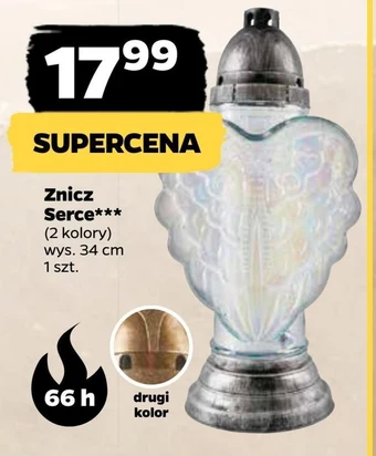 Netto Znicz oferta