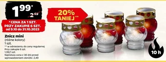 Netto Znicz oferta