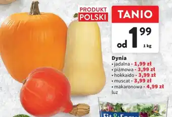 Intermarche Dynia 1 kg oferta