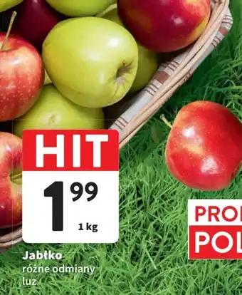 Intermarche Jabłko 1 kg oferta