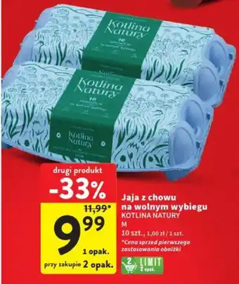 Intermarche Jaja z chowu na wolnym wybiegu 10szt. oferta