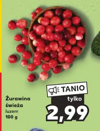 Kaufland Żurawina świeża 100g oferta