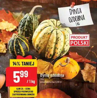 Polomarket Dynia ozdobna 1kg oferta