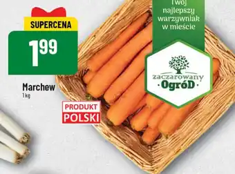 Polomarket Marchew 1kg oferta