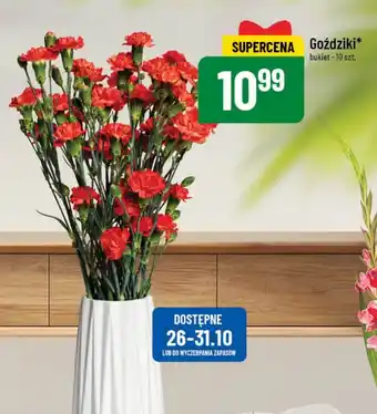 Polomarket Goździki 10szt. oferta
