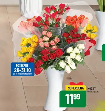 Polomarket Róże 9szt. oferta