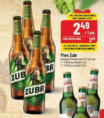 Polomarket Piwo Żubr Kompania Piwowarska, 0,5l oferta