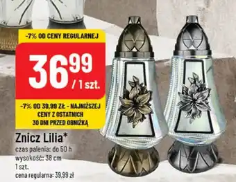 Polomarket Znicz Lilia oferta