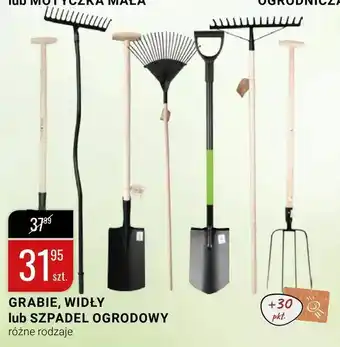 bi1 Grabie, widły lub szpadel ogrodowy oferta