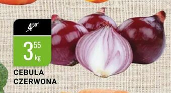 bi1 Cebula czerwona oferta