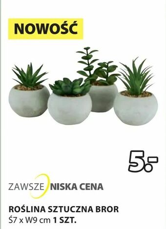 JYSK Roślina sztuczna bror oferta