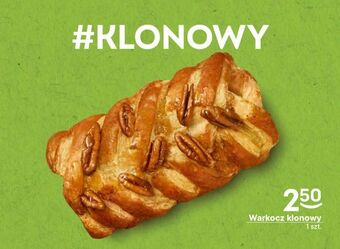Warkocz klonowy