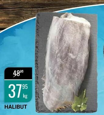 bi1 Halibut oferta