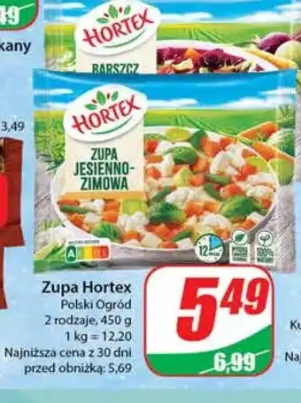 Dino Barszcz czerwony oferta