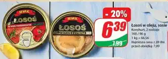 Dino Łosoś w oleju z cytryną oferta