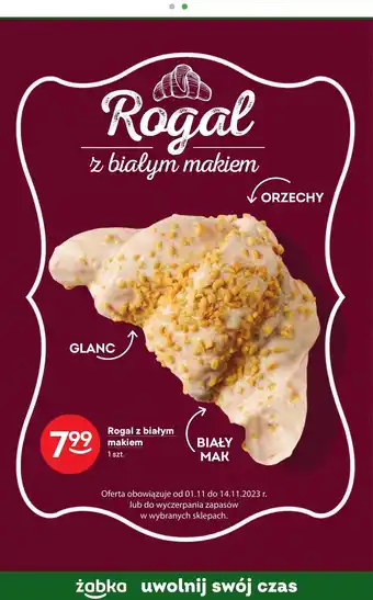 Żabka Rogal oferta