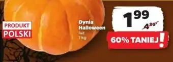 Netto Dynia oferta