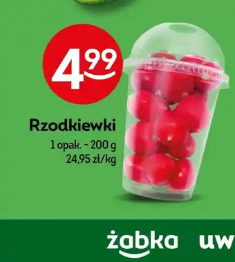 Żabka Rzodkiewki oferta