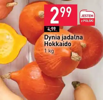 Stokrotka Dynia oferta