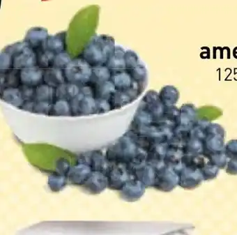 Stokrotka Borówki amerykańskie oferta