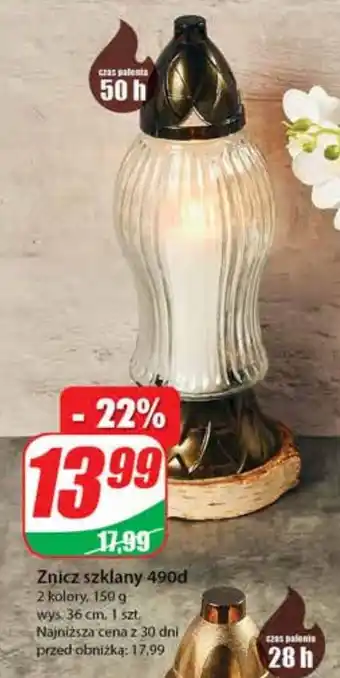 Dino Znicz oferta