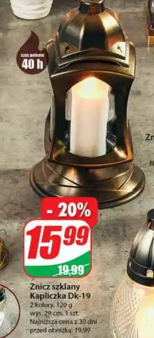 Dino Znicz oferta