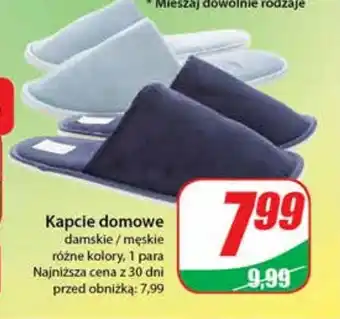 Dino Kapcie oferta