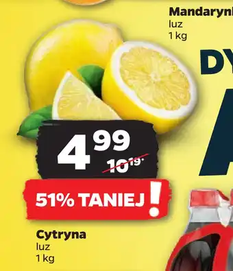 Netto Cytryna oferta