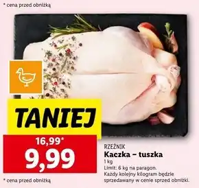 Lidl Kaczka oferta