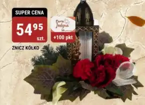 bi1 Znicz oferta