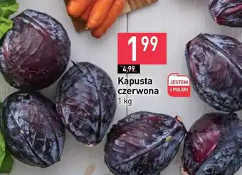 Stokrotka Market Kapusta czerwona oferta