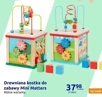 Action Drewniana kostka do zabawy Mini Matters oferta