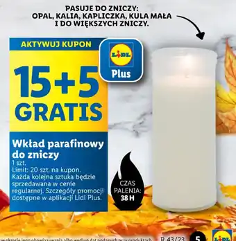 Lidl Wkład parafinowy do zniczy oferta