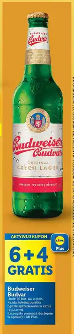 Lidl Budweiser Budvar 500ml oferta