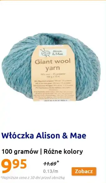 Action Włóczka Alison & Mae 100 g oferta