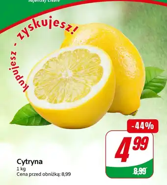 Dino Cytryna 1 kg oferta