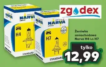 Kaufland Żarowka h7 oferta