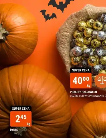bi1 DYNIA 1kg oferta