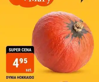 bi1 DYNIA HOKKAIDO szt. oferta